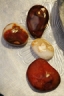 CARNELIAN