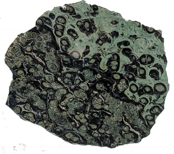 detail_332_jasper-crop.jpg