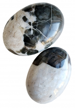 detail_382_cats-eye.jpg