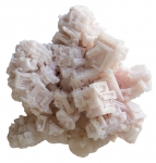 HALITE