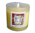 FOCUS MAGICAL CANDLE