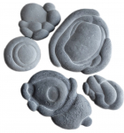 FAIRY STONES
