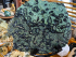 detail_332_jasper-alligator.jpg