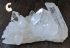 detail_311_cluster-C.jpg