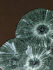 detail_292_seraphinite-cu.jpg