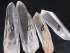 detail_205_lemurian-collection-ABCD.jpg