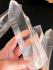 detail_205_lemurian-C-edit.jpg