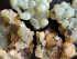 detail_274_prehnite-collection.jpg
