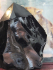 detail_310_obsidian-sharp-web.jpg