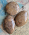 detail_364_petoskey-ABC.jpg