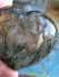 detail_187_lab-heart.jpg