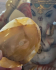 detail_337_golden-palm.jpg