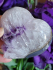 detail_330_quartz-druzy-purple.jpg
