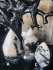 detail_350_flame-ABC.jpg