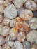detail_318_flower-agates-palms.jpg