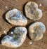 detail_23_celestite-collection-ABCD.jpg
