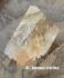 detail_2_citrine-lemon.jpg