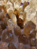 detail_2_citrine-group.jpg