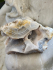 detail_275_agate-druzy-B.jpg