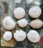 detail_383_scol-India-collection-2.jpg