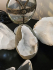 detail_106_app-eggs-2.jpg