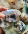 detail_354_den-agate.jpg