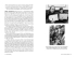 detail_391_Rosenberg-Star-Book-Heliotrope-10-2023_Page_038.jpg