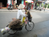 detail_241_bike-lady.jpg