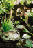 detail_231_BALI_GARDEN.jpg