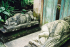 detail_231_ganesh-lounging.jpg