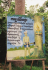 detail_239_MAGIC_TREE.jpg