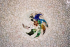 detail_227_barcelona-seashells.jpg