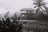 detail_75_rain.jpg