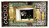 detail_235_CHAMPAGNE_ON_ICE_BLK.jpg