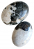 detail_382_cats-eye.jpg